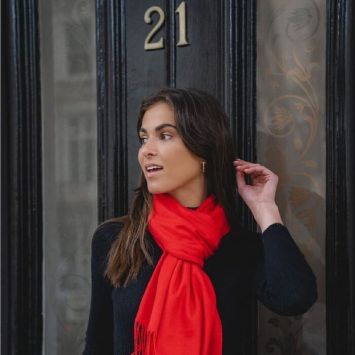 Celine Red Scarf